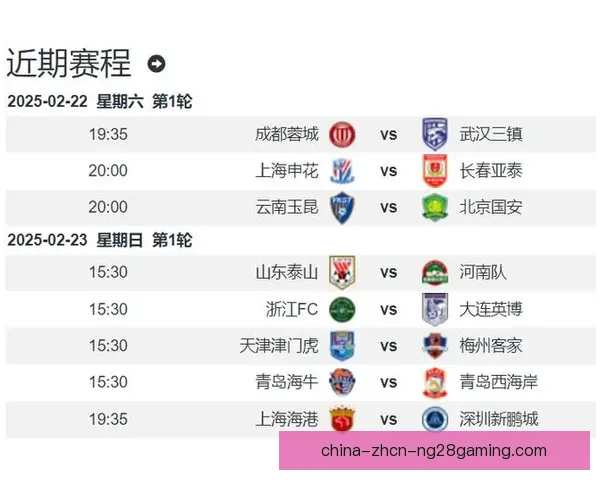巴尔加斯中超表现出色赛季完结合同到期离队